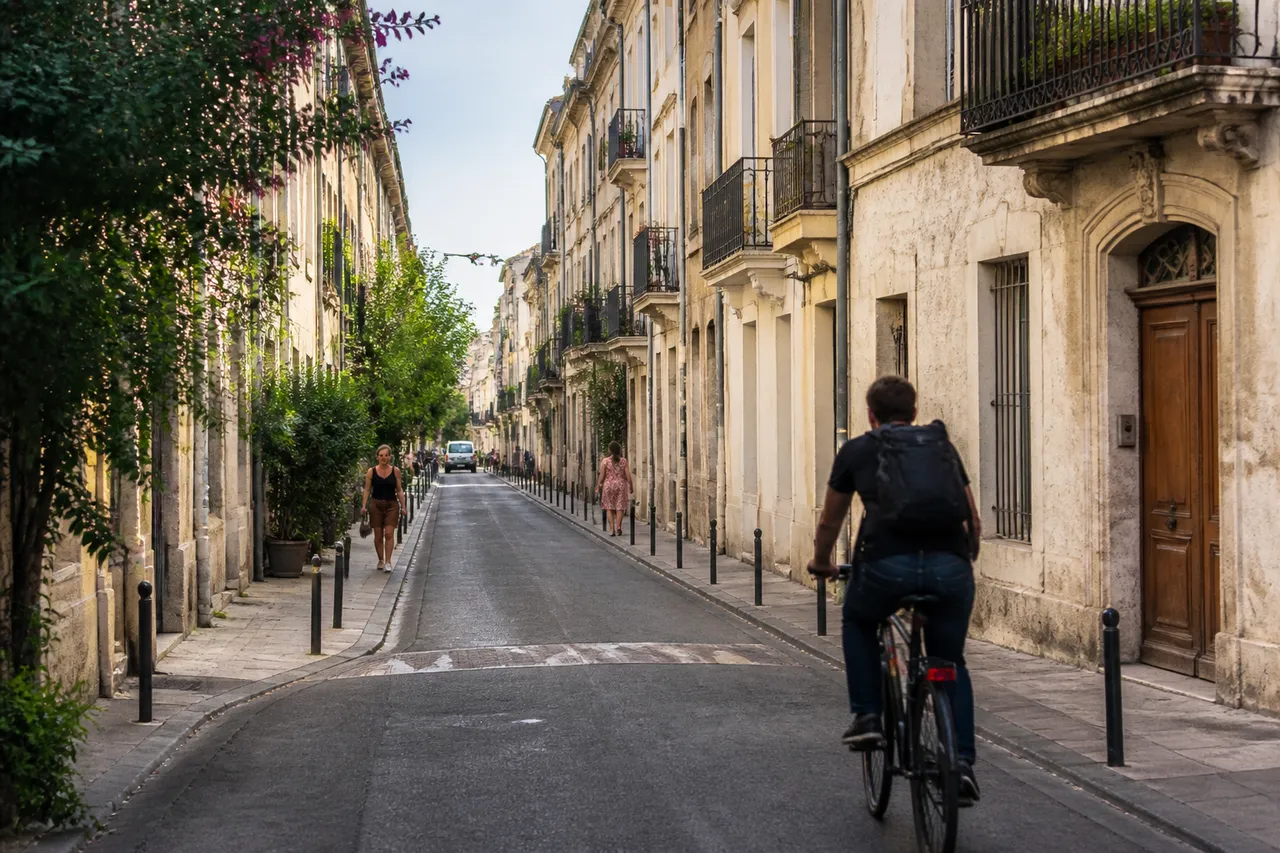 Rue du faubourg Figuerolles à Montpellier, axe principal du quartier