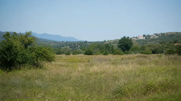 Estimation du prix d'un terrain non constructible au m²